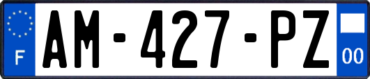 AM-427-PZ