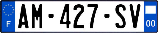 AM-427-SV