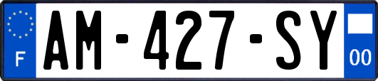 AM-427-SY