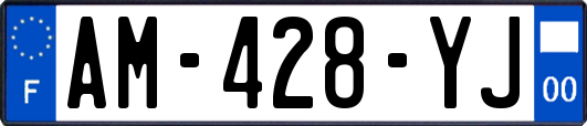 AM-428-YJ