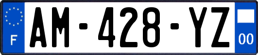 AM-428-YZ