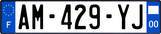 AM-429-YJ