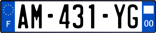 AM-431-YG