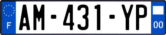 AM-431-YP