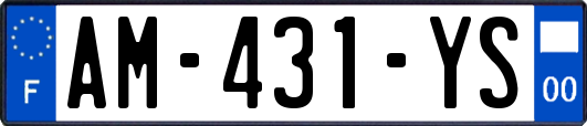 AM-431-YS