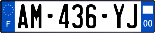 AM-436-YJ