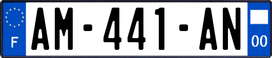 AM-441-AN
