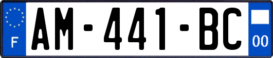 AM-441-BC