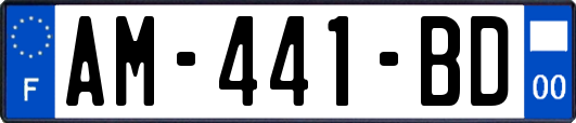 AM-441-BD