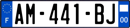 AM-441-BJ