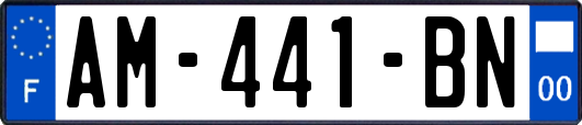 AM-441-BN