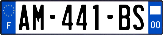 AM-441-BS