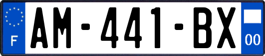 AM-441-BX