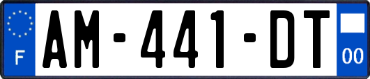 AM-441-DT