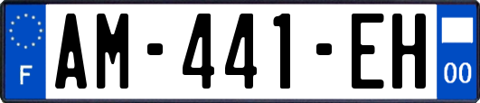 AM-441-EH