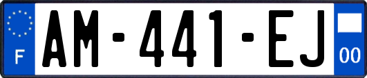 AM-441-EJ
