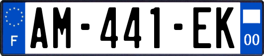 AM-441-EK