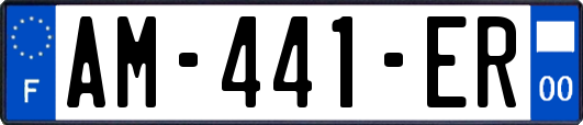 AM-441-ER