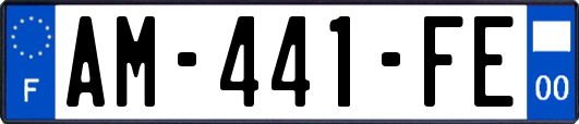 AM-441-FE