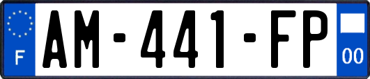 AM-441-FP
