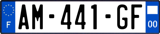 AM-441-GF
