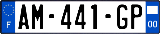 AM-441-GP