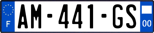 AM-441-GS
