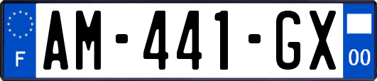 AM-441-GX