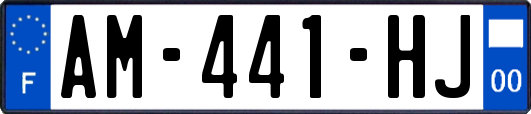AM-441-HJ