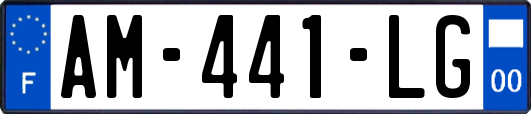 AM-441-LG