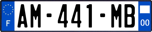 AM-441-MB