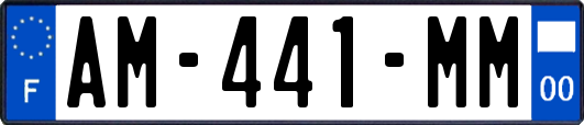 AM-441-MM