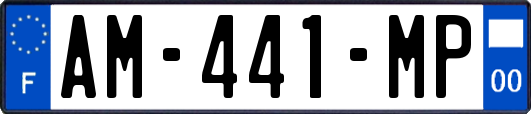AM-441-MP