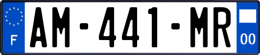 AM-441-MR