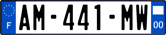 AM-441-MW