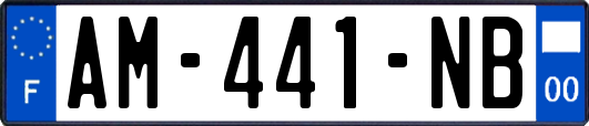 AM-441-NB