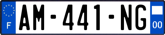 AM-441-NG