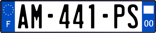 AM-441-PS