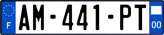 AM-441-PT