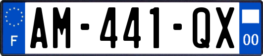 AM-441-QX