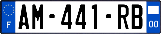 AM-441-RB