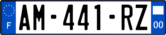 AM-441-RZ