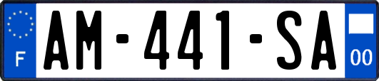 AM-441-SA