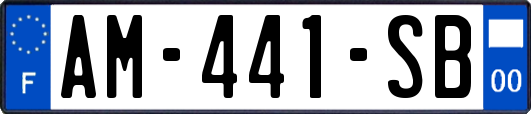 AM-441-SB