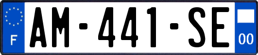 AM-441-SE