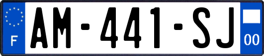 AM-441-SJ