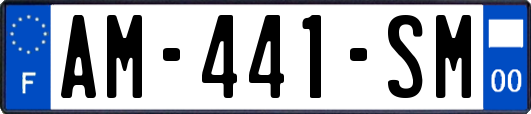 AM-441-SM