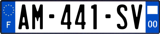 AM-441-SV