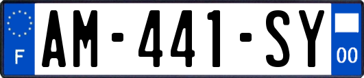 AM-441-SY