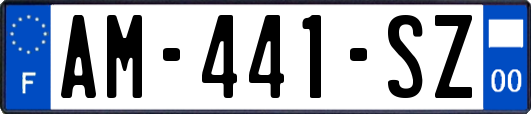 AM-441-SZ